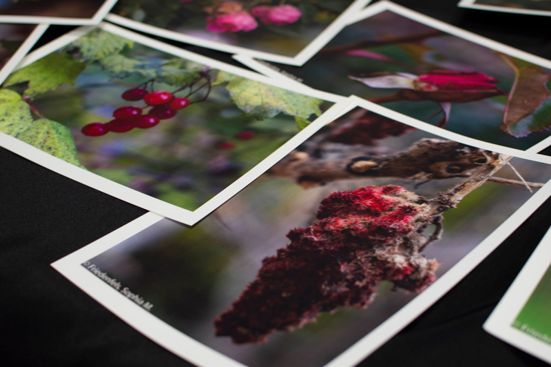 Photography Prints